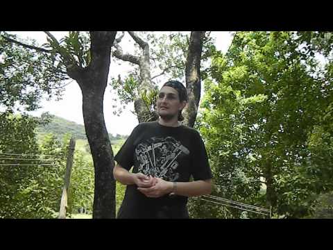 A Glorious Dawn – O conceito de paraíso