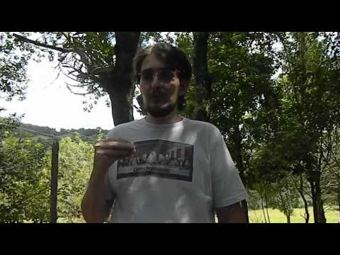 A Glorious Dawn – Sobre a ufologia II