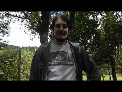 A Glorious Dawn – Felinos (Gatos)