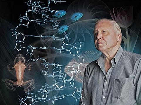 Symphony of Science – O Maior Espetáculo da Terra!