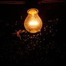 LUMINÁRIA