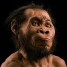 A nova espécie do gênero humano