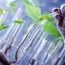 2016: mais Biotecnologia, por favor