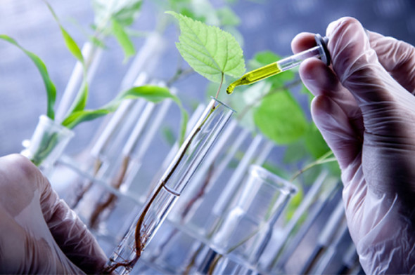 Biotecnologia